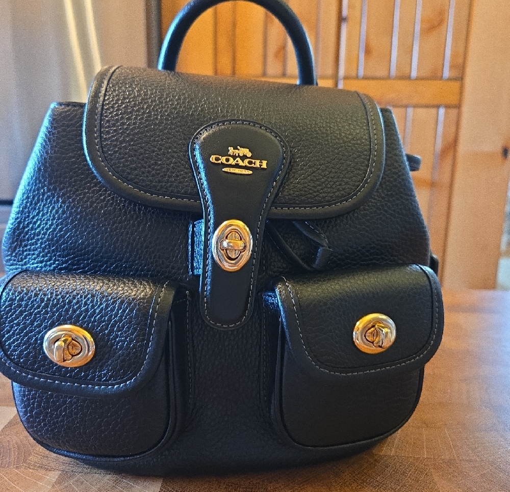 Coach Black Pebbled Leather Mini Backpack with Gold Hardware - Picture 2 of 10